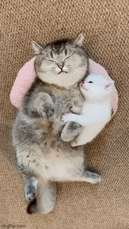 Просто гифки, всякие и&nbsp;разные