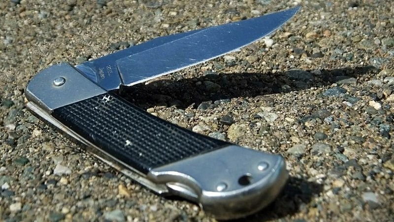 Мигрантам хотят запретить носить любые ножи: законопроект внесён на рассмотрение Госдумы