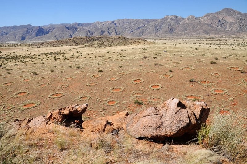 Мистические африканские круги фей и неоднозначная научная разгадка их появления