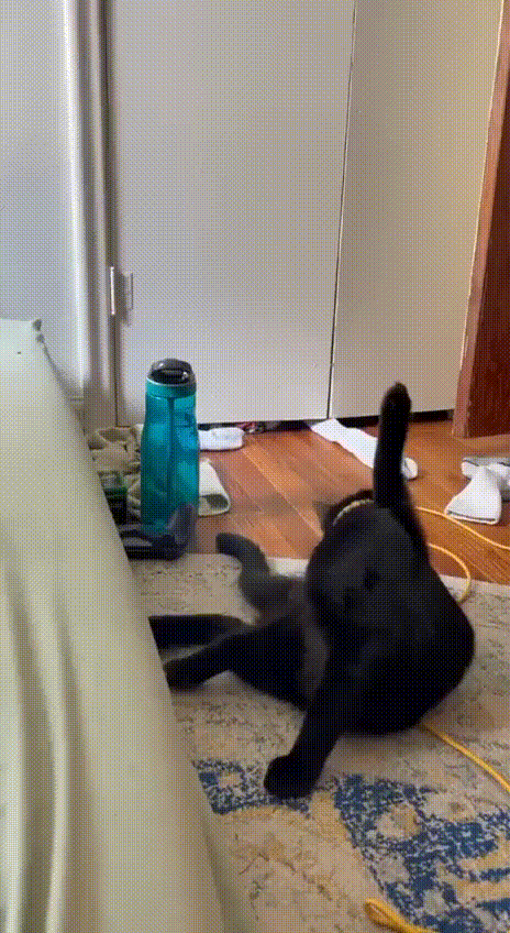 Просто гифки, всякие и&nbsp;разные