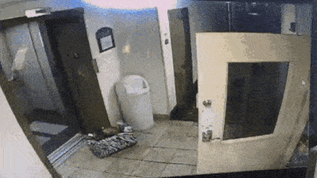 Просто гифки, всякие и&nbsp;разные