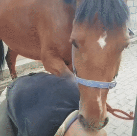 Просто гифки, всякие и&nbsp;разные