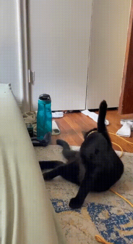 Просто гифки, всякие и&nbsp;разные