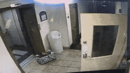 Просто гифки, всякие и&nbsp;разные