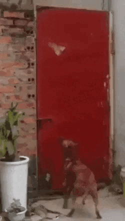 Просто гифки, всякие и&nbsp;разные