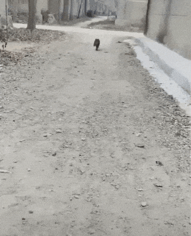 Просто гифки, всякие и&nbsp;разные