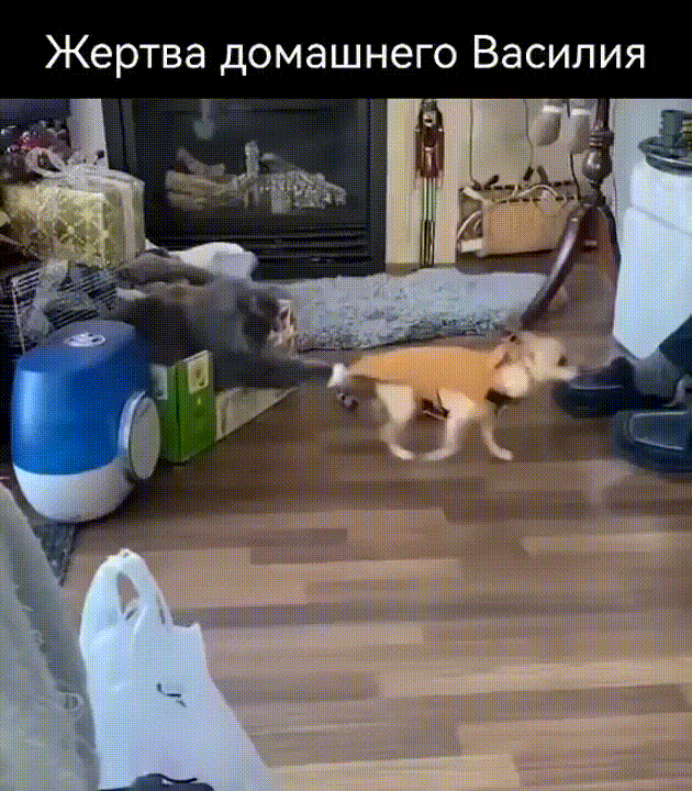 Просто гифки, всякие и&nbsp;разные