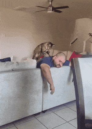 Просто гифки, всякие и&nbsp;разные