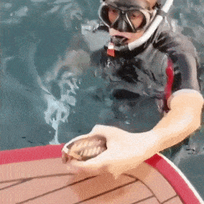 Просто гифки, всякие и&nbsp;разные