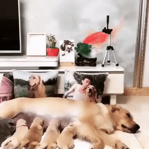 Просто гифки, всякие и&nbsp;разные