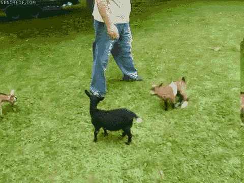 Просто гифки, всякие и разные