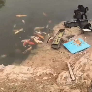 Просто гифки, всякие и&nbsp;разные