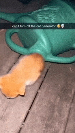 Просто гифки, всякие и&nbsp;разные