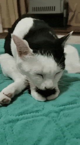 Просто гифки, всякие и&nbsp;разные