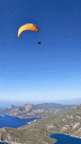 Просто гифки, всякие и&nbsp;разные