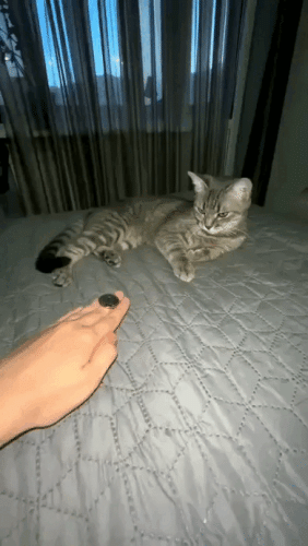 Просто гифки, всякие и&nbsp;разные