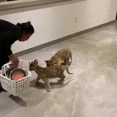 Просто гифки, всякие и&nbsp;разные