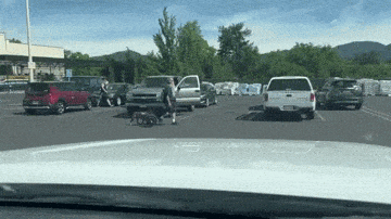 Просто гифки, всякие и&nbsp;разные