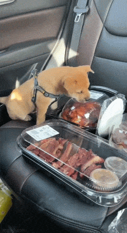 Просто гифки, всякие и&nbsp;разные