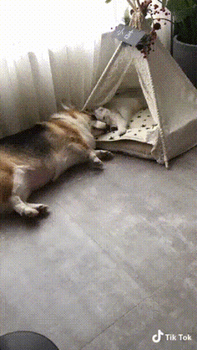 Просто гифки, всякие и&nbsp;разные