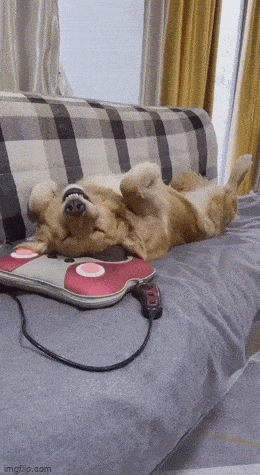 Просто гифки, всякие и&nbsp;разные