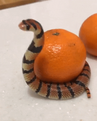 Просто гифки, всякие и&nbsp;разные