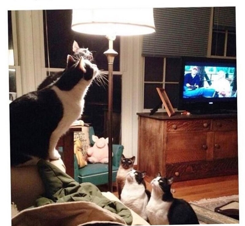 2. Волшебная лампа