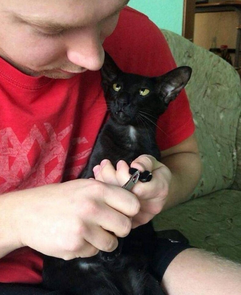 9. Сейчас случится одновременный обморок и кусь