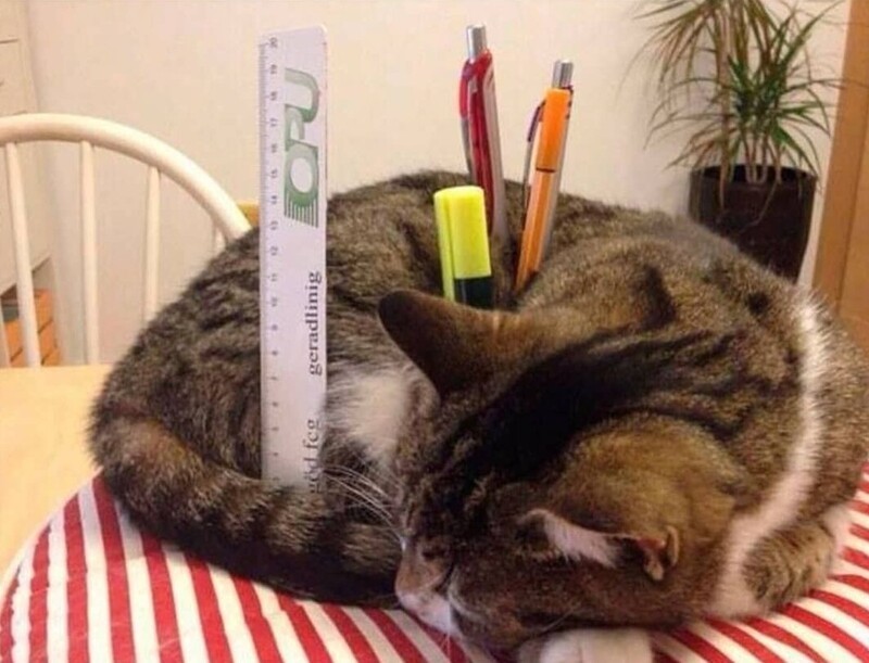 19. Идеальное решение для ленивых