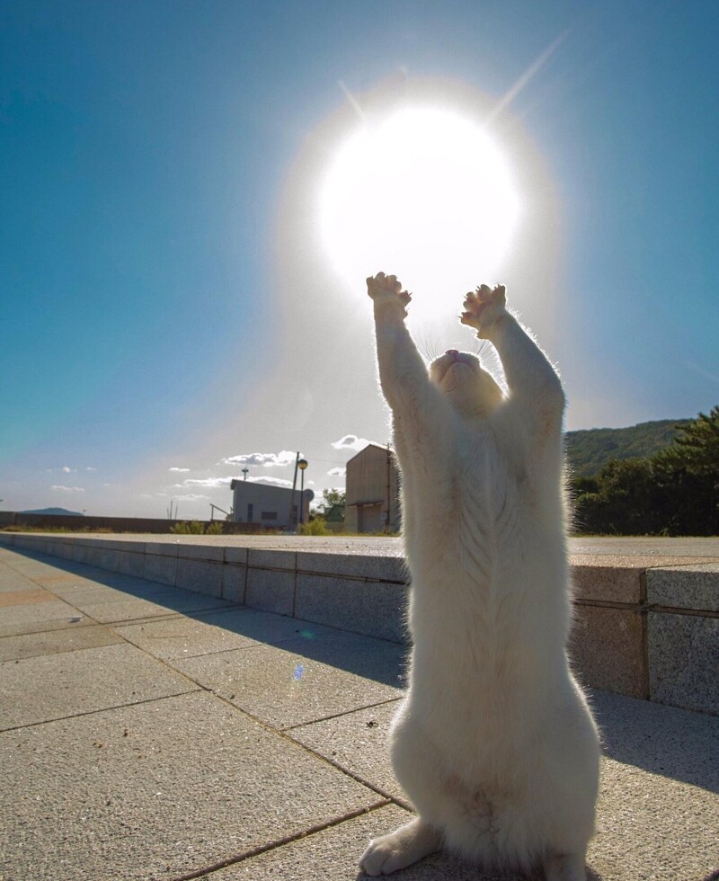 3. Слава новому дню!