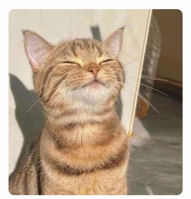 11. В любой непонятной ситуации улыбайся