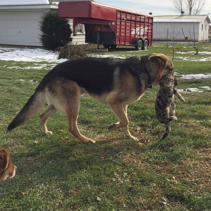 14. Удобный способ передвижения