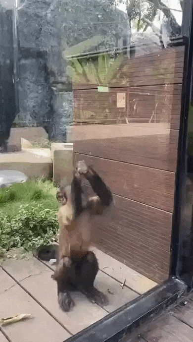 Просто гифки, всякие и&nbsp;разные