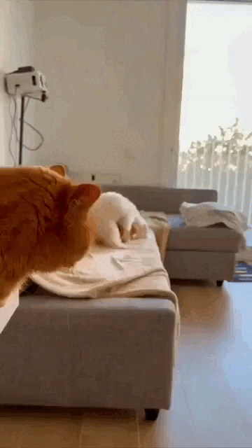 Просто гифки, всякие и&nbsp;разные