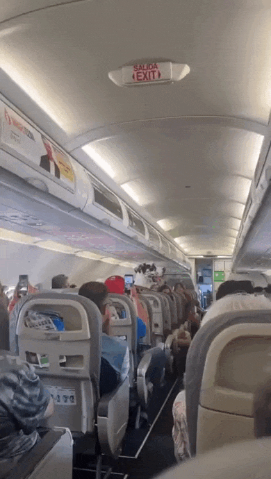 Просто гифки, всякие и&nbsp;разные