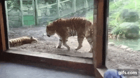 Просто гифки, всякие и&nbsp;разные