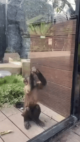 Просто гифки, всякие и&nbsp;разные