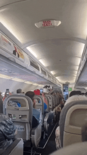 Просто гифки, всякие и&nbsp;разные