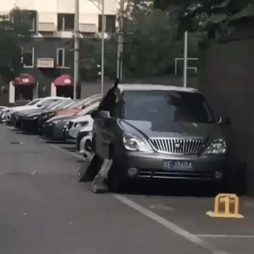 Просто гифки, всякие и&nbsp;разные