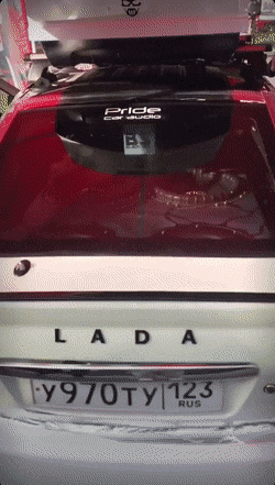 Просто гифки, всякие и&nbsp;разные