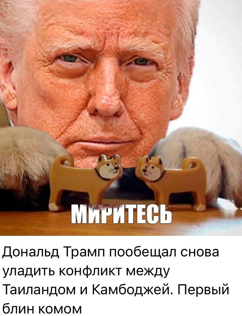 Лишь о политике , лишь о ней