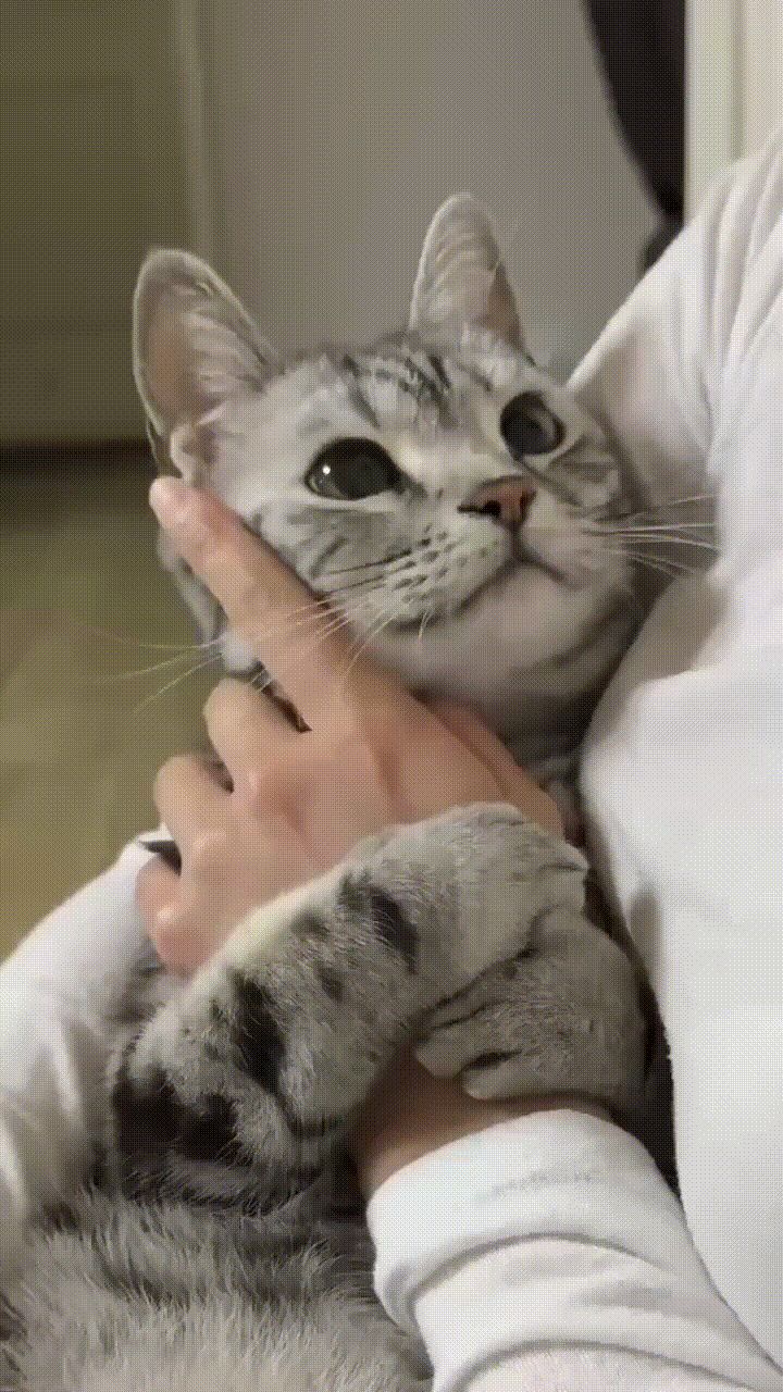 Просто гифки, всякие и&nbsp;разные