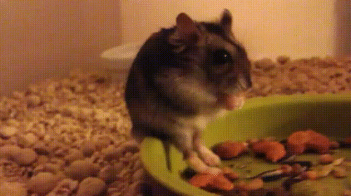 Просто гифки, всякие и&nbsp;разные