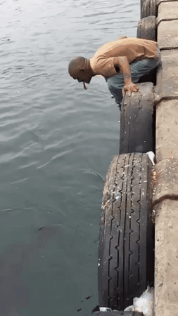 Просто гифки, всякие и&nbsp;разные