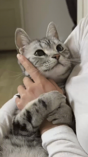 Просто гифки, всякие и&nbsp;разные