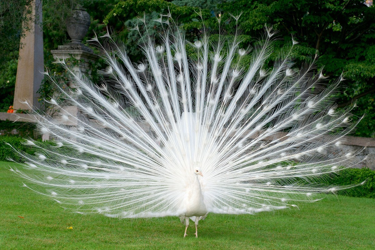 На общую тему&nbsp;