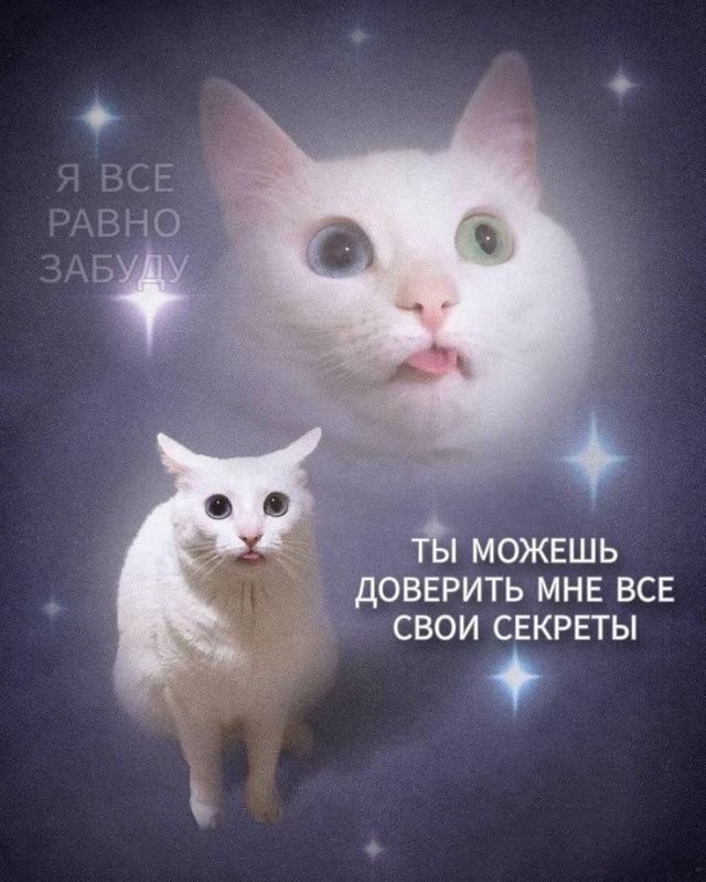 Скрины из соцсетей