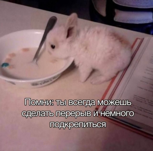 Скрины из соцсетей