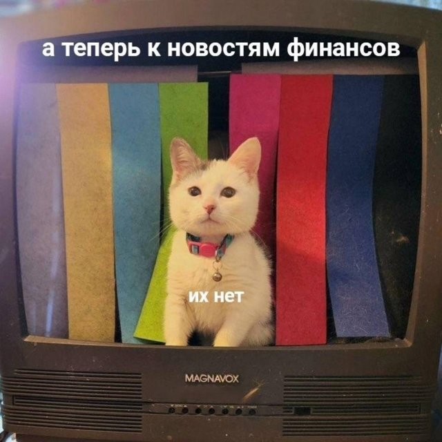 Скрины из соцсетей