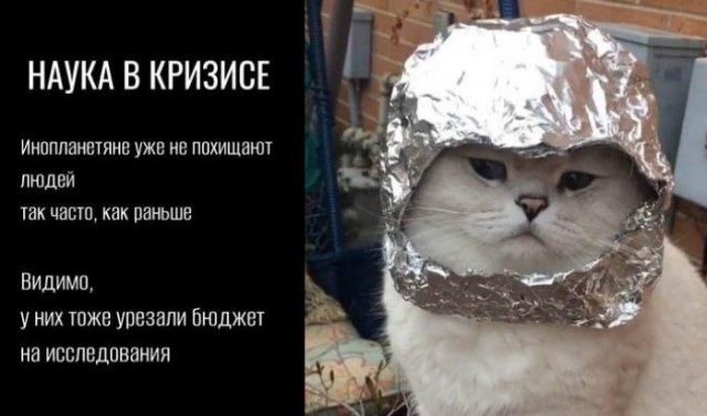 Скрины из соцсетей